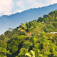 Image for article titled Someone Built the Perfect Green House in a Perfect Paradise